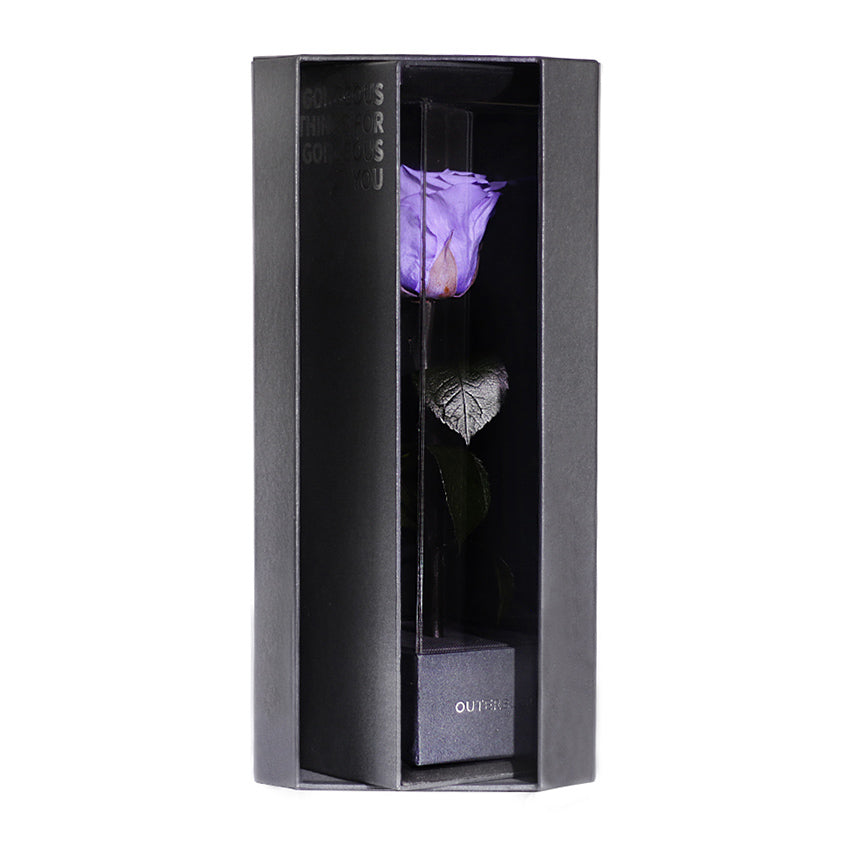 Enchanted Love Pirouette - Posh Purple