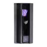 Enchanted Love Pirouette - Posh Purple