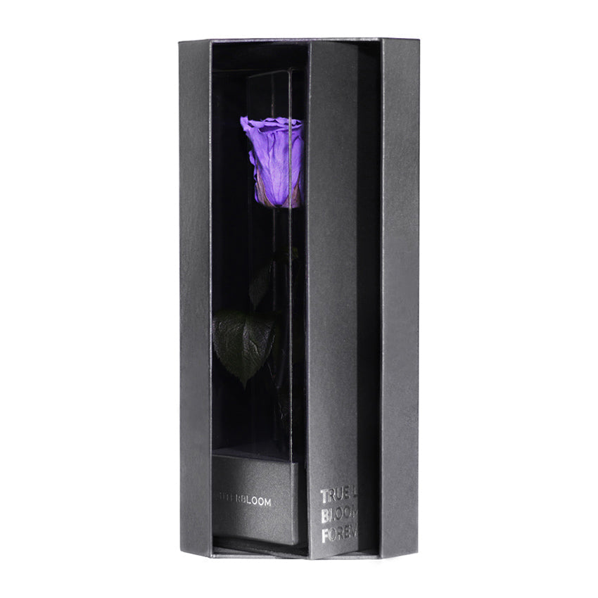 Enchanted Love Pirouette - Posh Purple