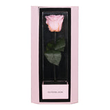 Enchanted Love Pirouette Special Edition - Innocent Pink