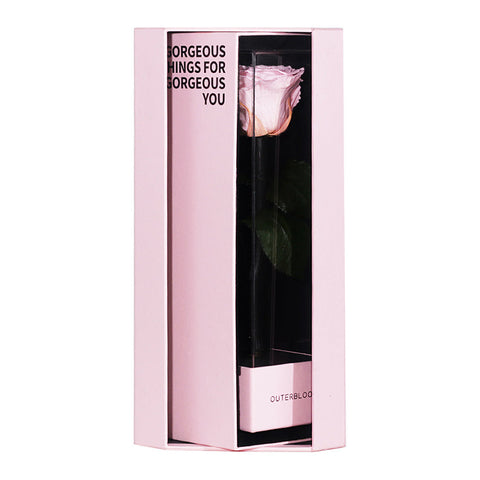 Enchanted Love Pirouette Special Edition - Innocent Pink