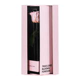 Enchanted Love Pirouette Special Edition - Innocent Pink