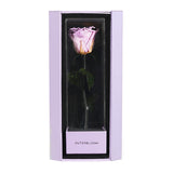 Enchanted Love Pirouette Special Edition - Majestic Lilac