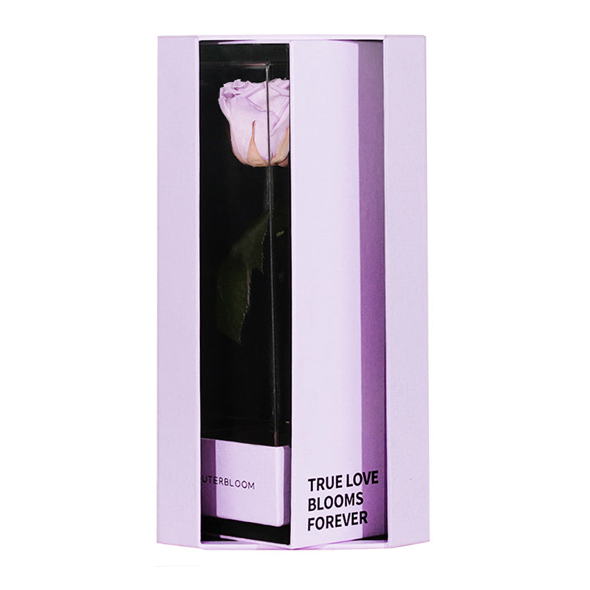 Enchanted Love Pirouette Special Edition - Majestic Lilac