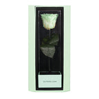 Enchanted Love Pirouette Special Edition - Mint Oasis