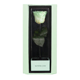 Enchanted Love Pirouette Special Edition - Mint Oasis