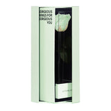 Enchanted Love Pirouette Special Edition - Mint Oasis