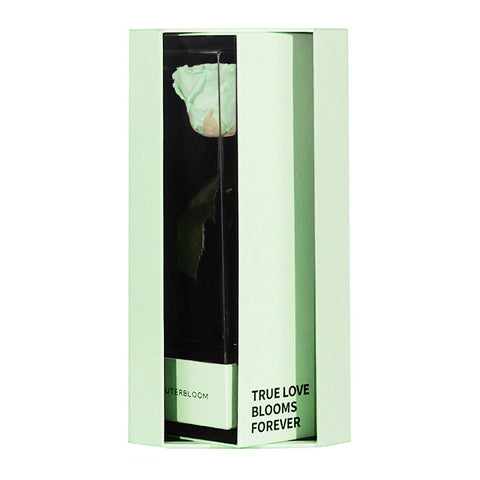 Enchanted Love Pirouette Special Edition - Mint Oasis