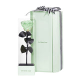 Enchanted Love Pirouette Special Edition - Mint Oasis