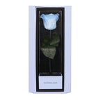 Enchanted Love Pirouette Special Edition - Sky Blue