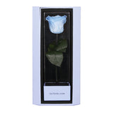 Enchanted Love Pirouette Special Edition - Sky Blue