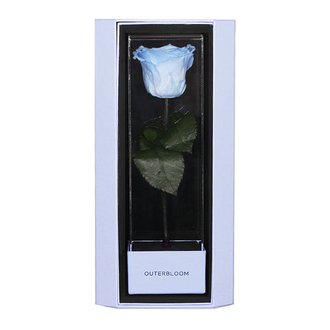 Enchanted Love Pirouette Special Edition - Sky Blue