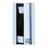 Enchanted Love Pirouette Special Edition - Sky Blue