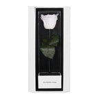 Enchanted Love Pirouette Special Edition - Angelic White