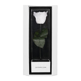 Enchanted Love Pirouette Special Edition - Angelic White