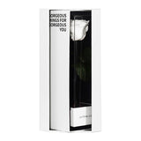 Enchanted Love Pirouette Special Edition - Angelic White