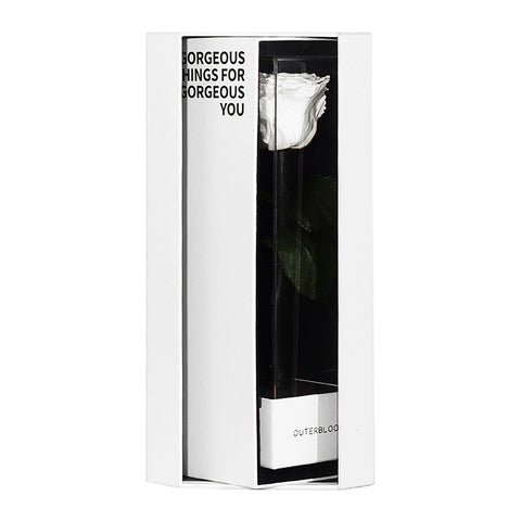 Enchanted Love Pirouette Special Edition - Angelic White