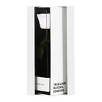 Enchanted Love Pirouette Special Edition - Angelic White
