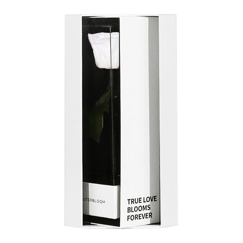 Enchanted Love Pirouette Special Edition - Angelic White