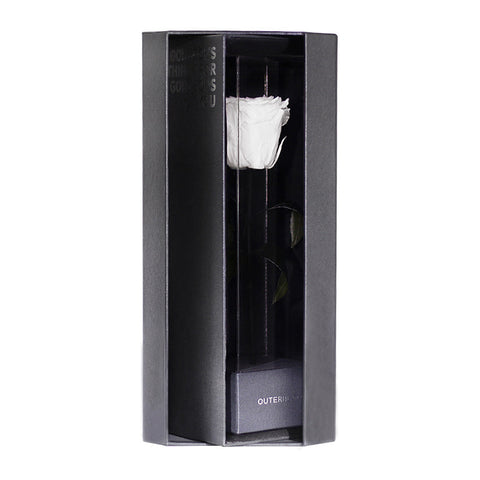 Enchanted Love Pirouette - Angelic White