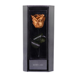 Enchanted Love Pirouette - Champagne Gold