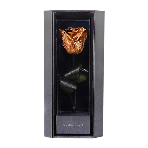 Enchanted Love Pirouette - Champagne Gold