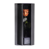 Enchanted Love Pirouette - Champagne Gold