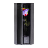 Enchanted Love Pirouette - Magic Rainbow