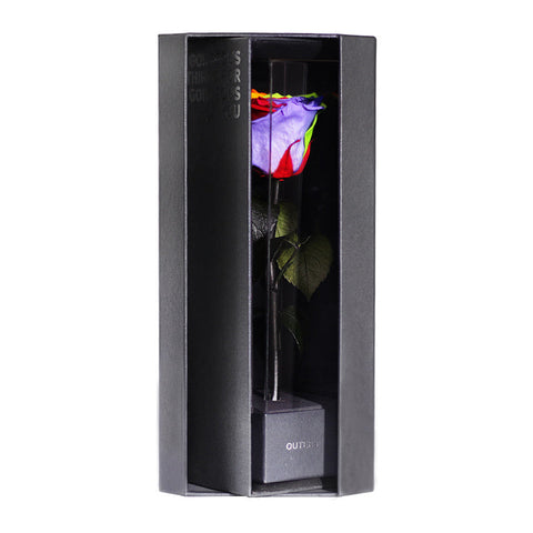 Enchanted Love Pirouette - Magic Rainbow