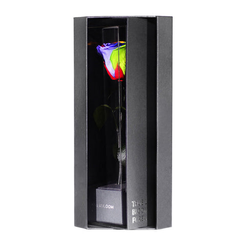 Enchanted Love Pirouette - Magic Rainbow