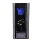 Enchanted Love Pirouette - Midnight Blue