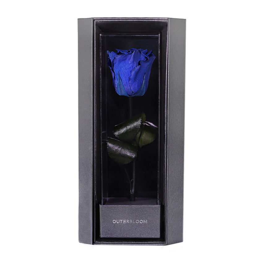 Enchanted Love Pirouette - Midnight Blue