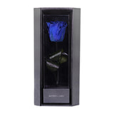 Enchanted Love Pirouette - Midnight Blue