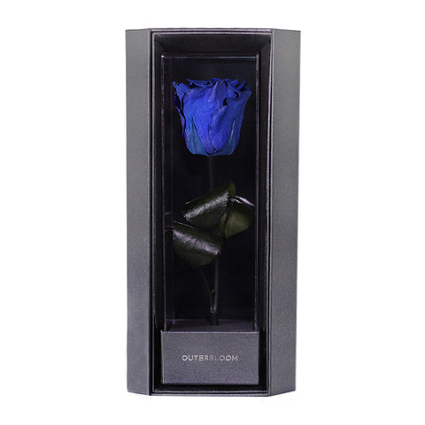 Enchanted Love Pirouette - Midnight Blue