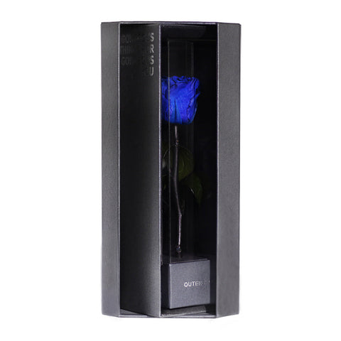 Enchanted Love Pirouette - Midnight Blue