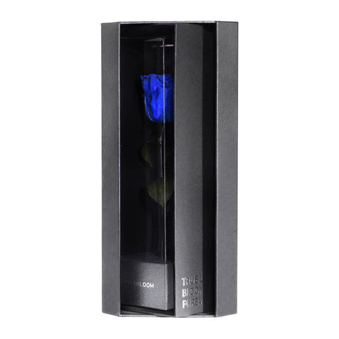 Enchanted Love Pirouette - Midnight Blue