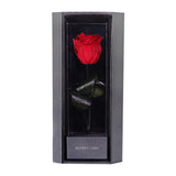 Enchanted Love Pirouette - Passionate Red