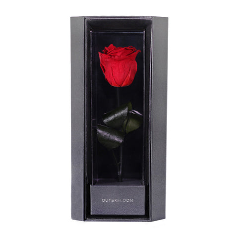 Enchanted Love Pirouette - Passionate Red