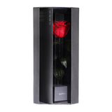 Enchanted Love Pirouette - Passionate Red