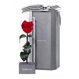 Enchanted Love Pirouette - Passionate Red