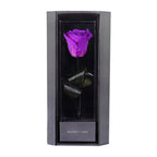 Enchanted Love Pirouette - Royal Purple