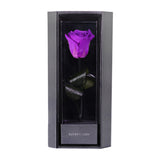 Enchanted Love Pirouette - Royal Purple