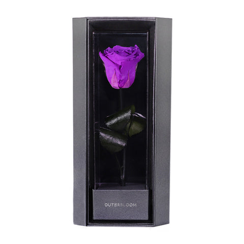 Enchanted Love Pirouette - Royal Purple