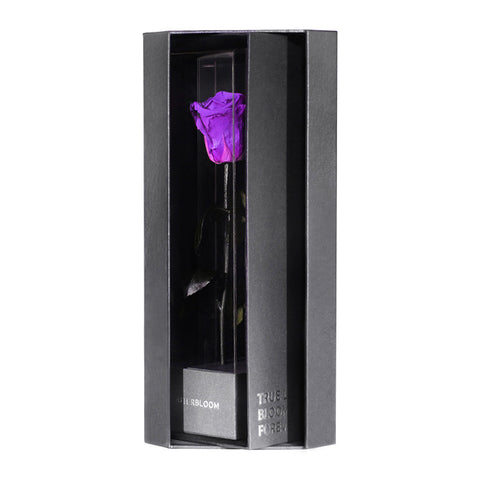 Enchanted Love Pirouette - Royal Purple