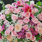 Grandiosa in Vase