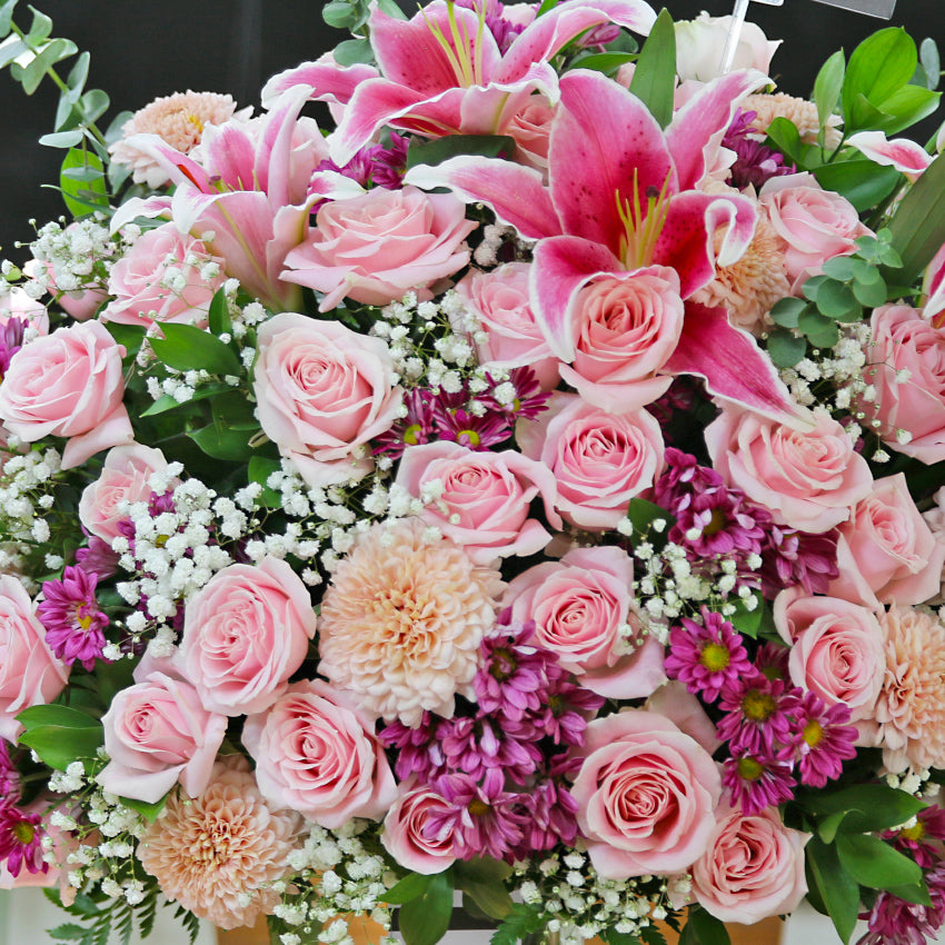 Grandiosa in Vase