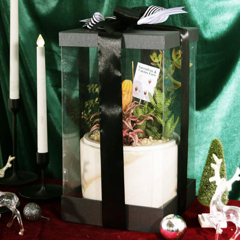 Greenery Odyssey Succulent