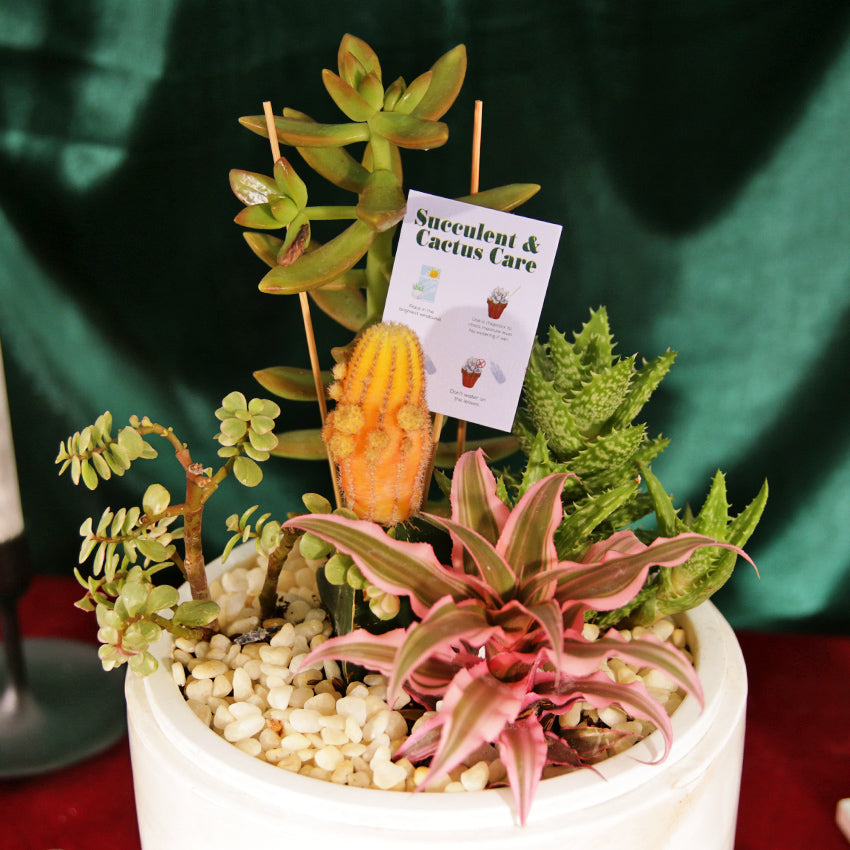 Greenery Odyssey Succulent