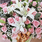 Imperial Orchid in Vase