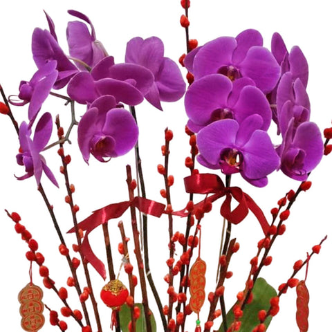 Lucky Orchid in Vase